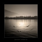 e i miei pensieri si librano in aria...