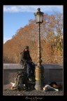 Roma's Tramp