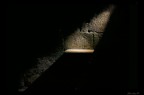 Cella Mamertina2 Cella Mamertina2
