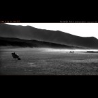 how big is the world?