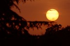 Un tramonto è sempre un tramonto Un tramonto è sempre un tramonto