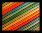 UNITED COLORS UNITED COLORS
