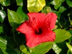 Prova Macro Prova Macro