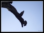 un angelo in cielo un angelo in cielo