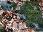 Autunno_1703 Autunno_1703