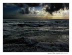 the sea the sea
