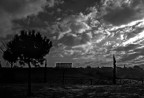 poco dopo l'alba poco dopo l'alba