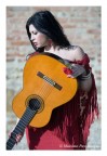 flamenco flamenco