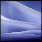 Blu Blu
