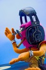 Dj Animal Dj Animal