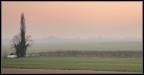 Nebbia di sera..2 Nebbia di sera..2
