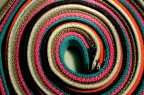 colors colors