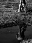 riflesso riflesso