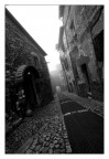 NELLA NEBBIA NELLA NEBBIA