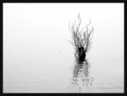 composizione minimalista composizione minimalista