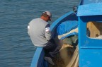 Lavoro o Hobby? Lavoro o Hobby?