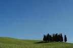 Cipressi Cipressi