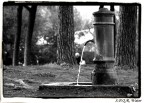 SPQR Water SPQR Water