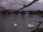 Il Ponte Carlo a Praga Il Ponte Carlo a Praga