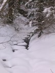 Il ruscello Il ruscello