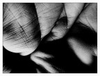 ::: I SEGNI DEL TEMPO ::: ::: I SEGNI DEL TEMPO :::