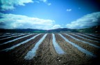 .: lomo's landscape 03 :. .: lomo's landscape 03 :.