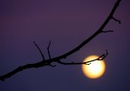 Al chiaro di Luna Al chiaro di Luna