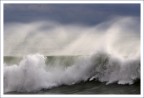 Wave Wave