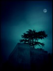 Sister Moon Sister Moon