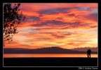 Ammirando il tramonto… Ammirando il tramonto…