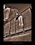 treno della memoria treno della memoria