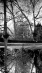 riflessi-realtà? riflessi-realtà?