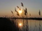 tramonto a Ostellato tramonto a Ostellato