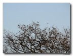natura natura