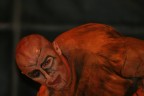 Quasimodo Quasimodo