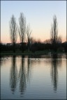 Riflessi al parco #1