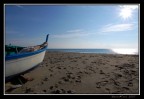 Il mare d'inverno Il mare d'inverno
