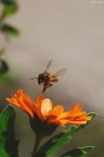 Il decollo Il decollo
