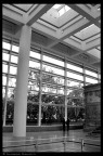 L' ara pacis L' ara pacis