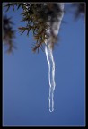 Cold#2