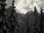 neve... neve...