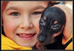 Cuccioli 2 Cuccioli 2