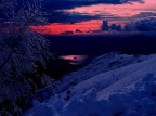 colori diversi colori diversi