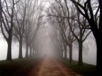 Le mura di ferrara Le mura di ferrara