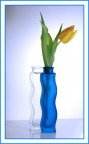 tulipano in vaso tulipano in vaso