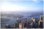Sydney Tower View