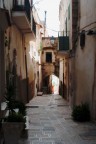 viale viale