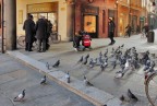 Ooooh..i piccioni... Ooooh..i piccioni...