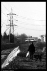 Desolazione... Desolazione...