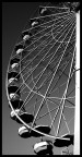 Ruota Panoramica Ruota Panoramica